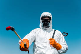 Reliable Horseshoe Bay, TX Pest Control Solutions